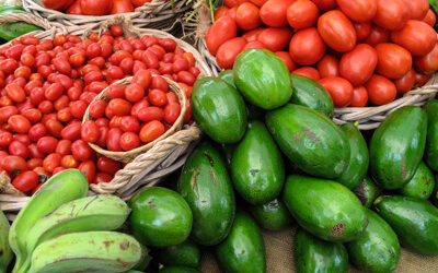 Alimentación y cáncer; comer sin miedo.